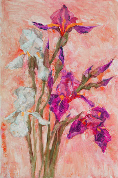 时尚的插图作品艺术寓言春天的花油画印象派垂直的春天傍晚景观明亮的紫色和白色的鸢尾花在长茎他们的蓓蕾被阳光照亮在一个精致的红色背景图片下载