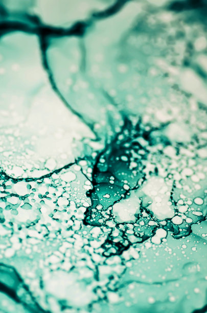 鸟。墨水。大理石的艺术。背景。图片下载