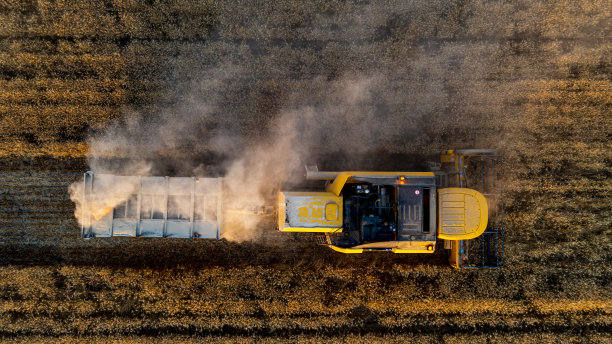 小麦收割鸟瞰图，收割者在小麦、燕麦、黑麦田里、谷物田里劳作，收获季节，农村收割机联合作物农场。农耕农艺收获有机景观。从顶部90度射击图片下载