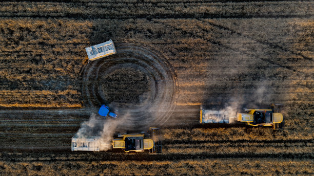 小麦收割鸟瞰图，收割者在小麦、燕麦、黑麦田里、谷物田里劳作，收获季节，农村收割机联合作物农场。农耕农艺收获有机景观。从顶部90度射击图片下载