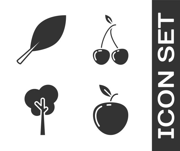 设置苹果，树叶，树和樱桃图标。向量图片下载
