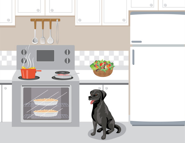 有黑狗的乡村厨房图片下载