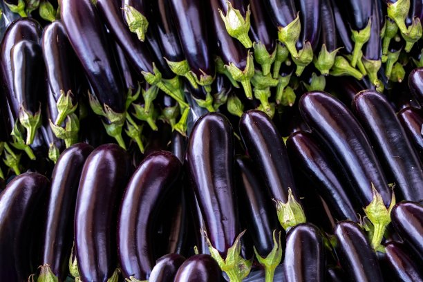 一堆新鲜的茄子或茄子近距离观看街头市场摊位，有机生态食品来自当地生产者农民近距离观看图片下载