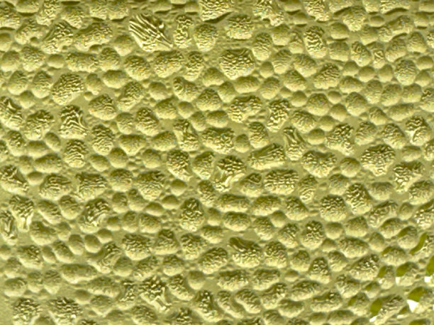 酒杯上凝结物的特写。具有独特背景的抽象背景。图片下载