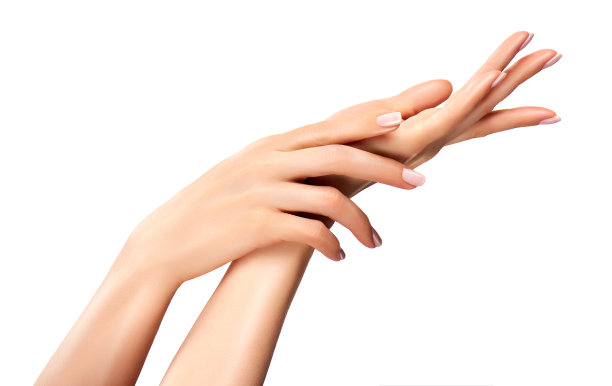 优雅女人的手，纤细优雅的手指。优雅的姿态。图片下载