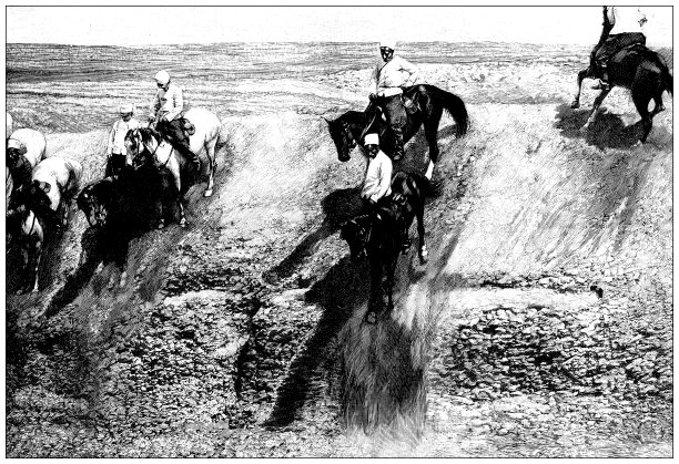 古董插图:非洲的军马训练图片下载