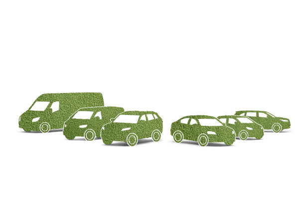 用草做的绿色交通工具图片下载