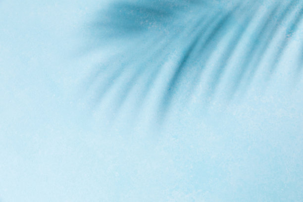 棕榈叶阴影在蓝色的墙壁背景。时尚的公寓与时尚的阴影和阳光。最少的暑假和假期概念。设计横幅、文案空间图片下载