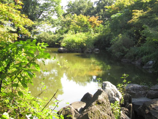 日本。9月。池塘边的石头。图片下载