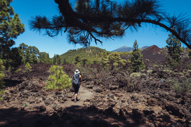 在特内里费岛泰德火山景观徒步旅行的妇女图片下载