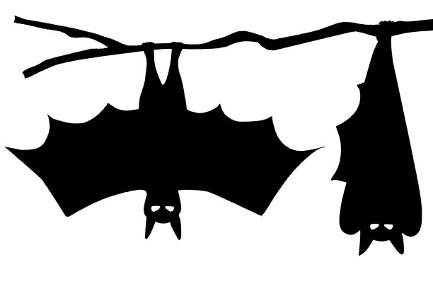 蝙蝠挂在树上的黑白剪贴画图片下载