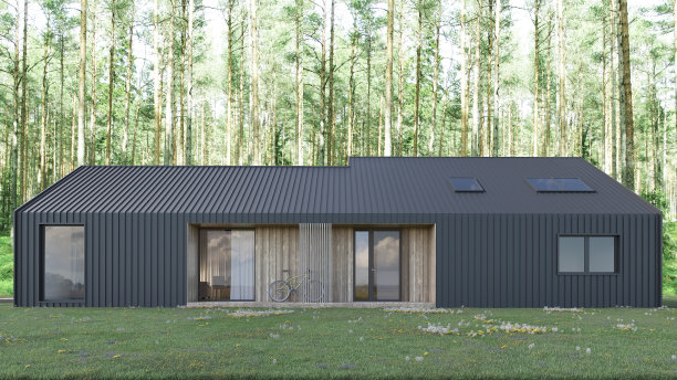 计算机生成的房子图像。建筑可视化。3D渲染。外观设计图片下载