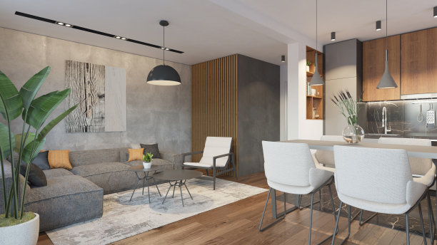 室内设计。体系结构。电脑生成的客厅图像。建筑可视化。3D渲染。图片下载