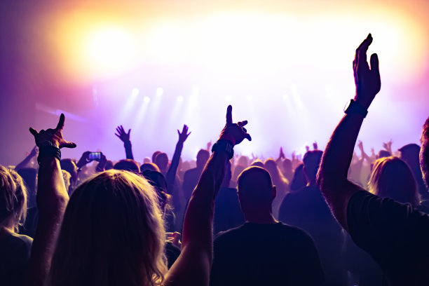 摇滚音乐会上的观众图片下载