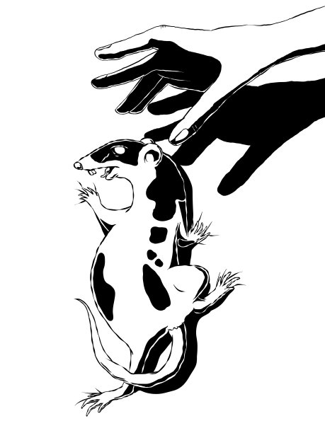 手绘黑白矢量插图-爬行老鼠和手。图片下载