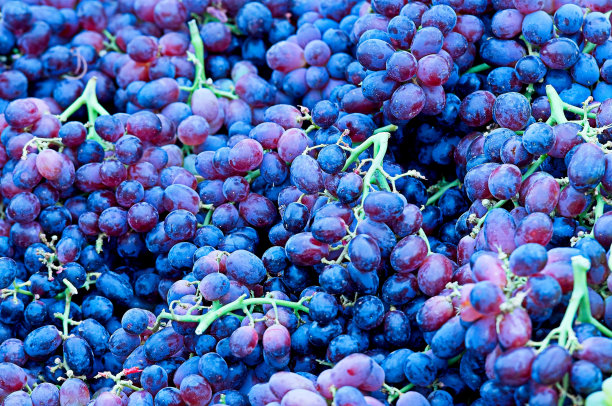 农贸市场展出的水果图片下载