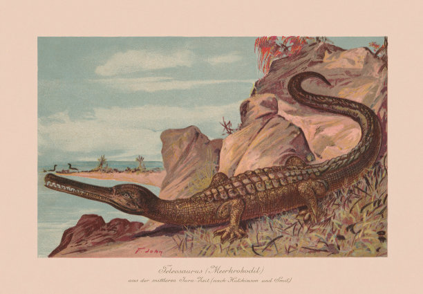 角鼻龙，中侏罗世，石版印刷术，1900年出版图片下载