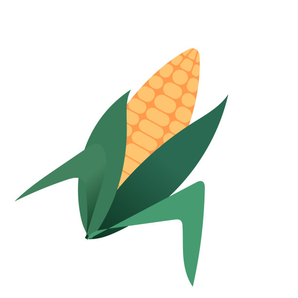 玉米概念矢量图图片下载