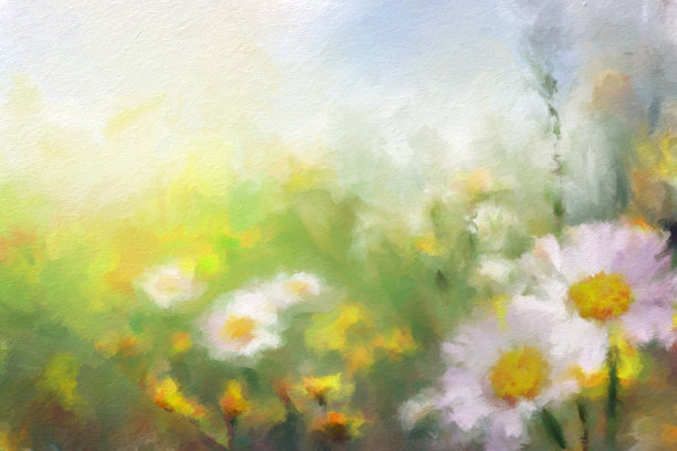 黛西，春天的水彩画背景图片下载