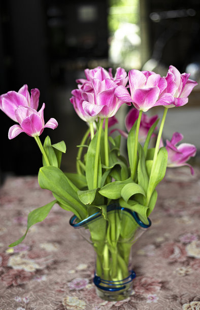 深色背景花瓶中的粉色郁金香，春季郁金香花卉，复活节或情人节贺卡图片下载