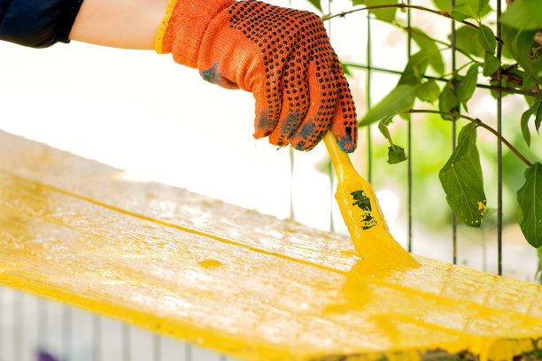 夏季亮面涂装图片下载