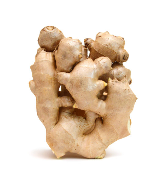 鲜姜的根或根茎离生在白色背景上图片下载