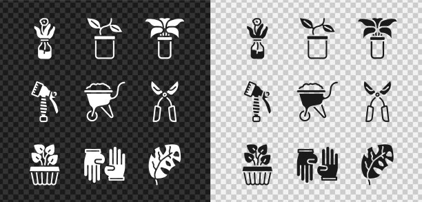 置花于玻璃瓶花盆异域风情图片下载