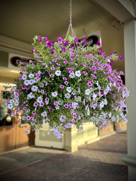 科罗拉多州杜兰戈小镇上美丽的街道装饰图片下载