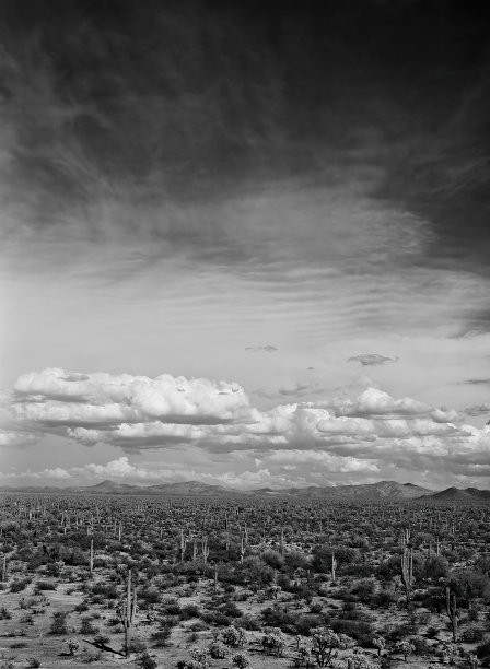 电影图像索诺拉沙漠亚利桑那单色图片下载