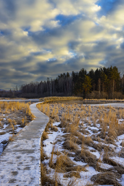 捷克共和国Sumava国家公园的自然保护区Olsina图片下载