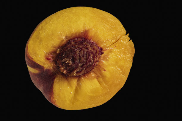 一半的桃果带坚果，种子图片下载