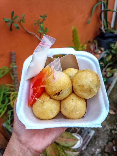 章鱼饺(章鱼烧)图片下载