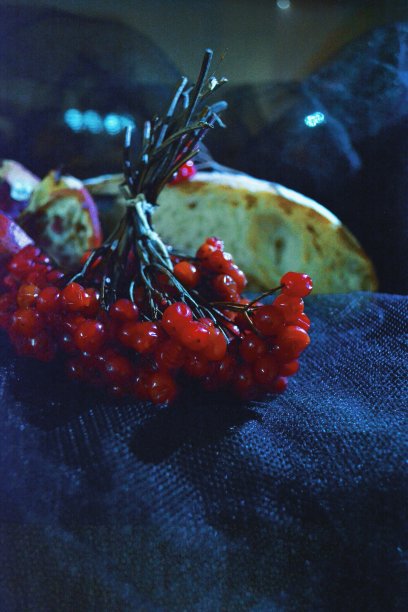 蔓越莓图片下载