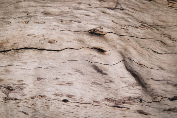 美丽的木纹和图案纹理背景。图片下载