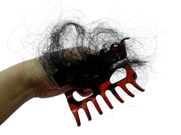 白色背景上的脱发。梳头后脱发。脱发问题或头发每天脱落图片下载