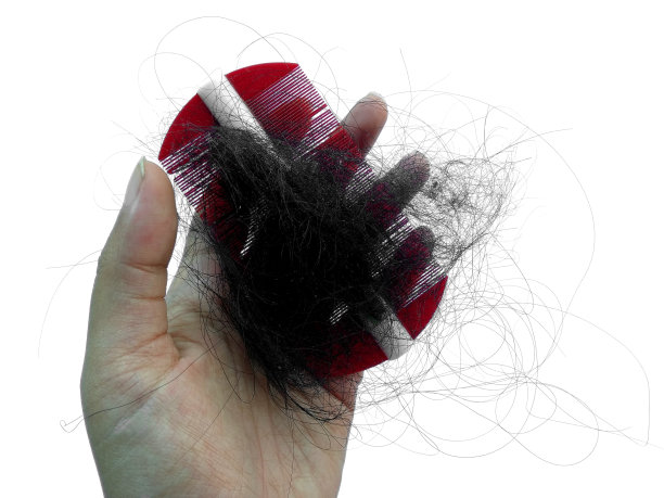 白色背景上的脱发。梳头后脱发。脱发问题或头发每天脱落图片下载