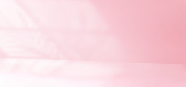 3d粉红色的墙在工作室房间背景与光图片下载