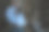 年轻的亚洲穆斯林女科学家在香菇厂从事科研工作，在香菇房采集成熟香菇进行实验室实验。图片下载