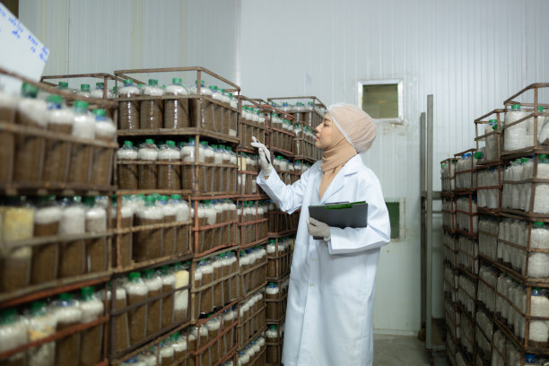 年轻的亚洲穆斯林女科学家在蘑菇工厂做研究，在无菌温控的房间里检查蘑菇发酵剂。图片下载