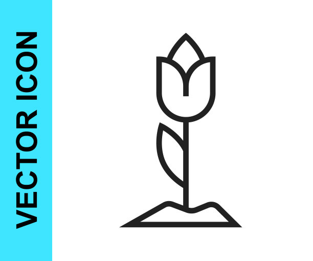 黑线花郁金香图标隔离在白色背景。向量图片下载