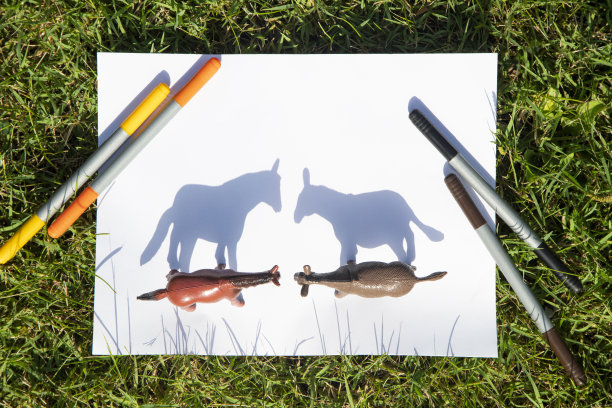 马和驴的玩具形象的对比阴影图片下载