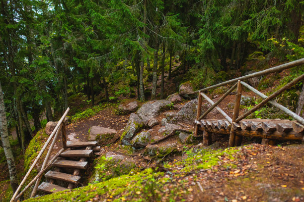 森林里的木梯图片下载