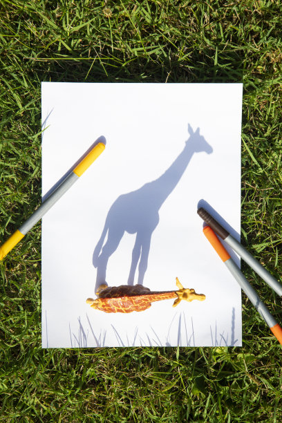 来自长颈鹿玩具形象的对比阴影图片下载