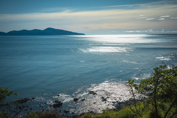 新西兰惠灵顿的自然景观图片下载