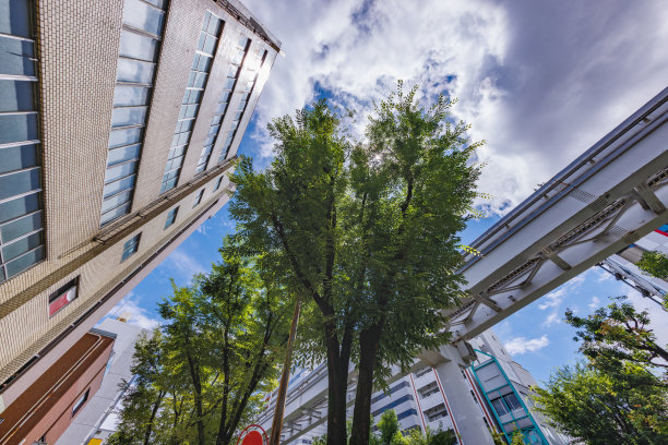 北九州国田区清新的绿色植物和建筑图片下载