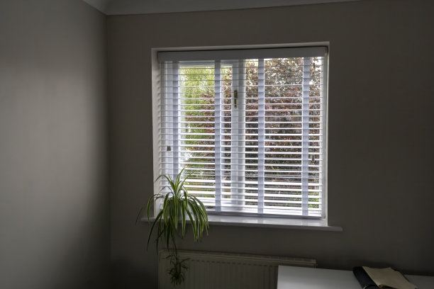 窗台上的吊兰，家庭窗户上的百叶窗帘图片下载