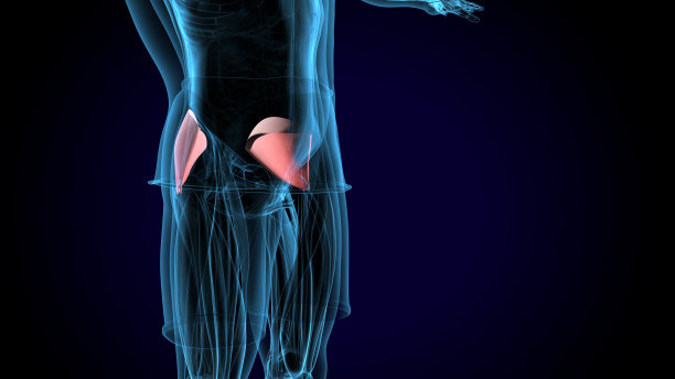 人体肌肉解剖。三维渲染图片下载