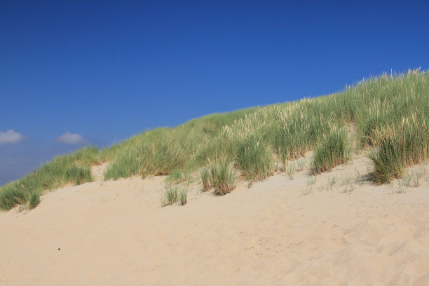 沙丘景观图片下载