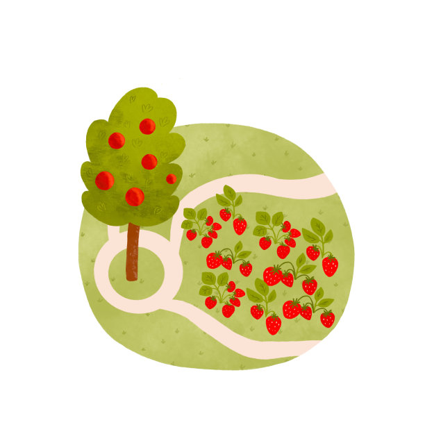夏日花园地图元素与苹果树，草莓，路径。可爱的景观与水果和浆果收获插图图片下载