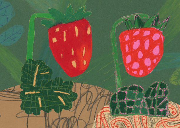 自家种植的草莓图片下载